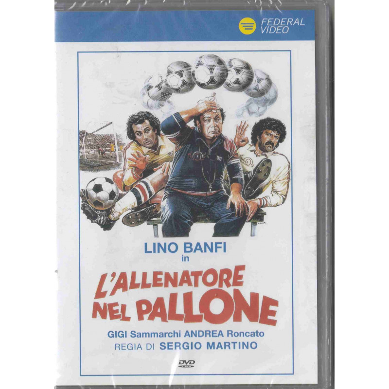 L'ALLENATORE NEL PALLONE