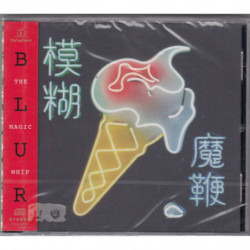 THE MAGIC WHIP