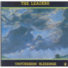 UNFORESEEN BLESSINGS