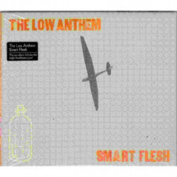 SMART FLESH
