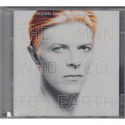 THE MAN WHO FELL TO EARTH