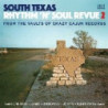 SOUTH TEXAS RHYTHM & SOUL REVUE 2