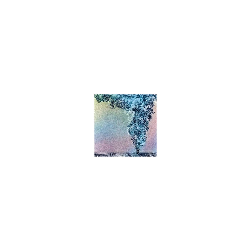 CARNATION