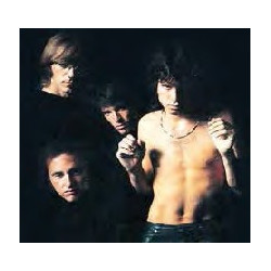 THE DOORS (RCO) - DVD REGIA AAVV