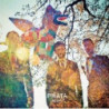 PINATA