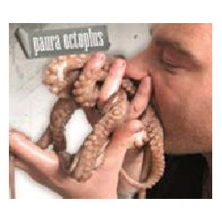 PAURA OCTOPUS