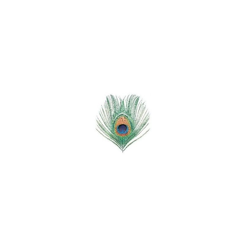 MUMMER