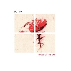 ROSES OF THE DAY