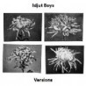 VERSIONS