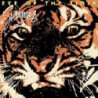 EYE OF THE TIGER