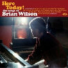 HERE TODAY! THE SONGS OF BRIAN WILSON