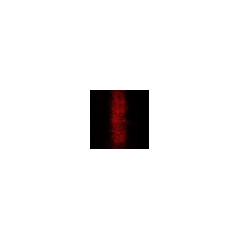 RITES