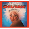 SHOOT YOUR SHOT: THE DIVINE ANTHOLOGY