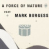 FORCE OF NATURE