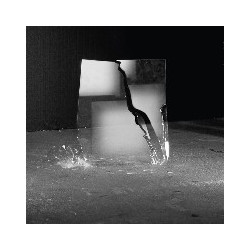BEAUTY OF DISASTER
