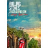 SWEET SUMMER SUN- (2CD+DVD
