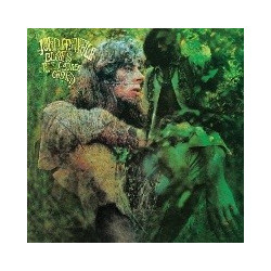 BLUES FROM LAUREL CANYON