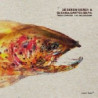 DETOUR FISH (LIVE IN LJUBLJANA)