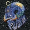 S/T
