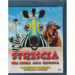 STRISCIA-ZEBRA ALLA...