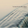 THROUGHT THE LOOKING GLASS - MUSICA DANE