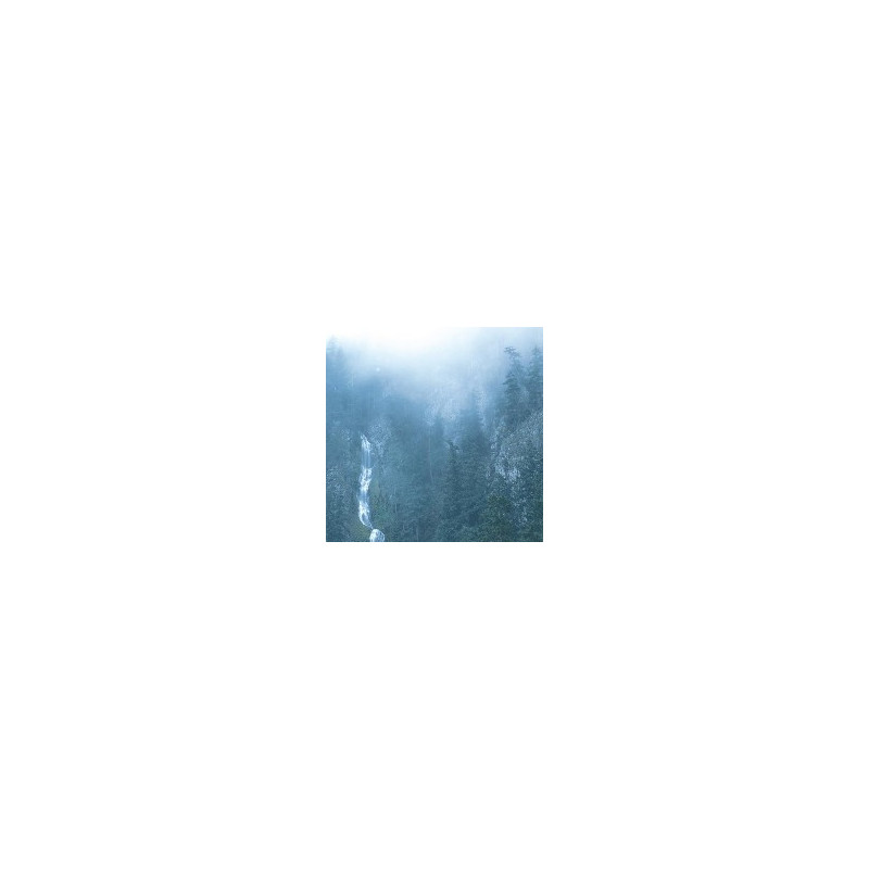 DIADEM OF 12 STARS
