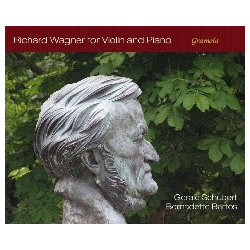 MUSICA PER VIOLINO E...