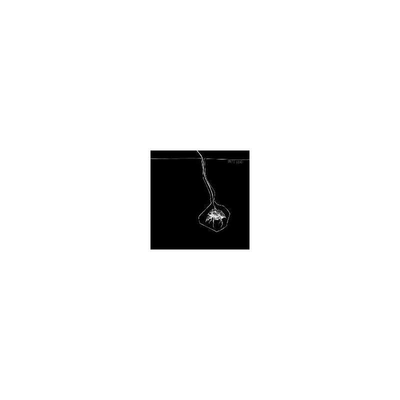 BROODSTAR EP