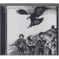 WHEN THE EAGLE FLIES