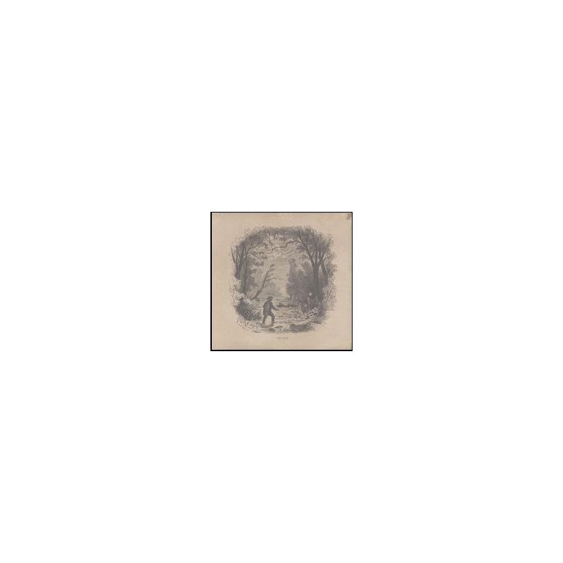 VETIVER