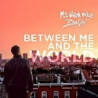 BETWEEN ME AND THE WORLD