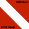 DIVER DOWN