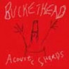 ACOUSTIC SHARDS