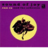 SOUND OF JOY