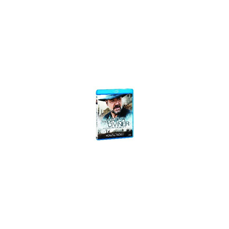 THE WATER DIVINER BD S