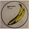 VELVET UNDERGROUND AND NICO (PICTURE DISC)