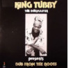 DUB FROM THE ROOTS