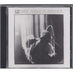 WIDE AWAKE IN AMERICA