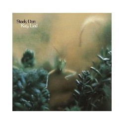 KATY LIED