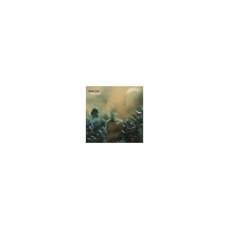 KATY LIED