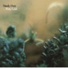 KATY LIED