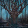 ACT V:HYMNS WITH THE DEVIL IN CONFES.-CD