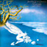FORSE LE LUCCIOLE NON SI AMANO PIU' (180GR GATEFOLD VINYL GREEN LTD