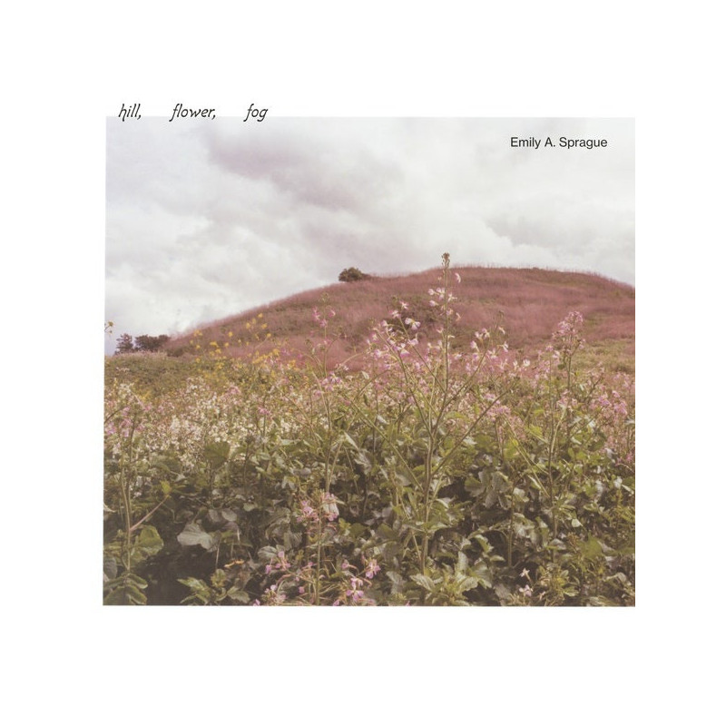 HILL, FLOWER, FOG