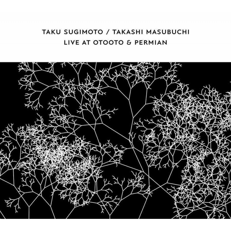 LIVE AT OTOOTO & PERMIAN