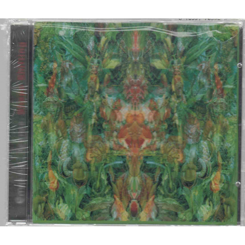 EMERALD AETHER                               (FOLK IRELAND)