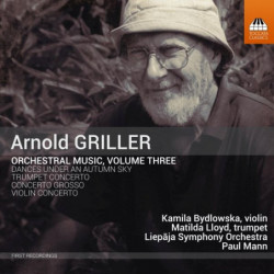 MUSICA PER ORCHESTRA, VOL.3