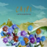 CAIPI