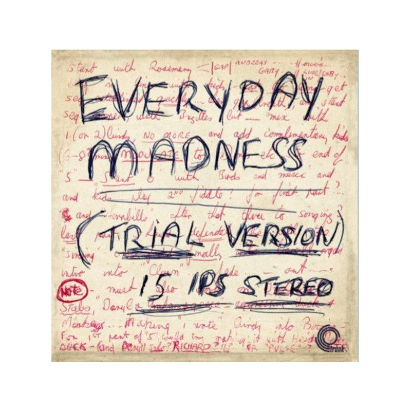 EVERYDAY MADNESS