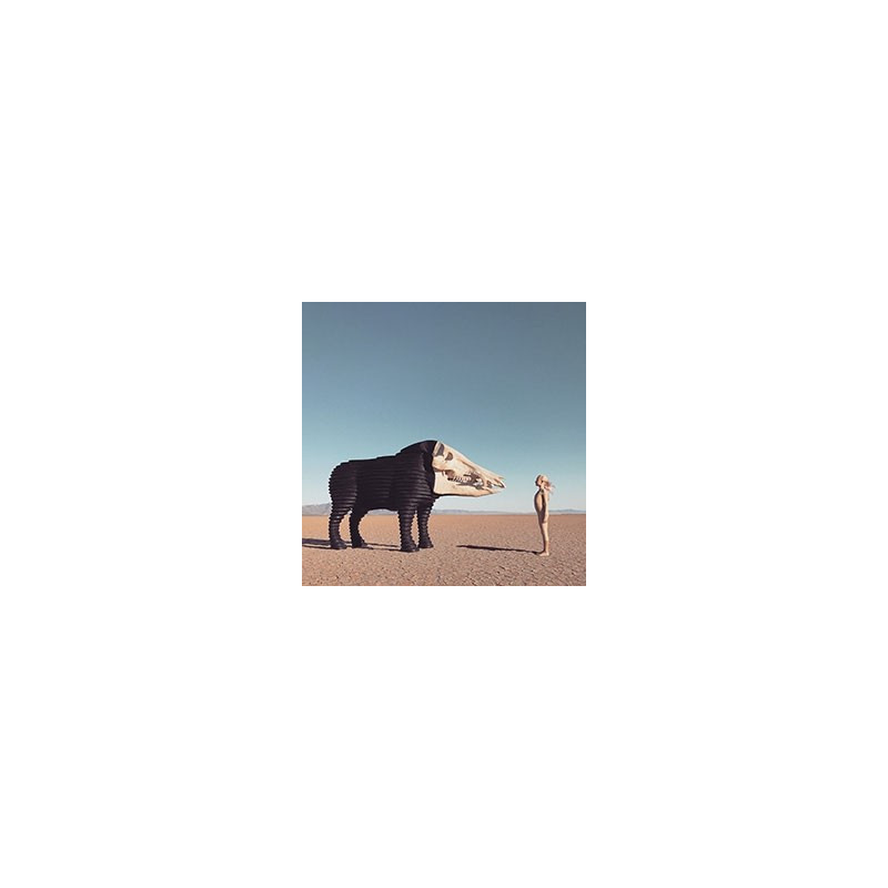 DREAM HUNTING IN THE VALLEY OF THE